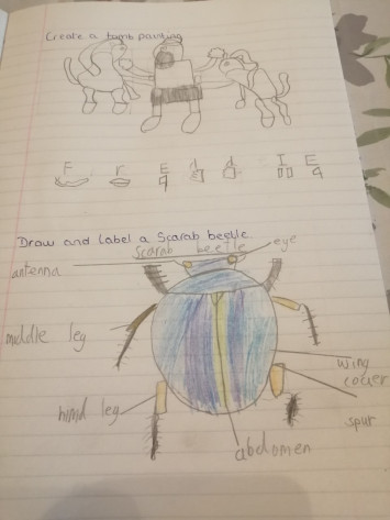 Hieroglyphics and a Scarab beetle - Rabbit Class