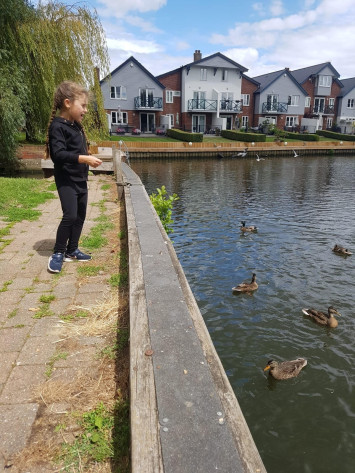 Feeding the ducks - Rabbit Class